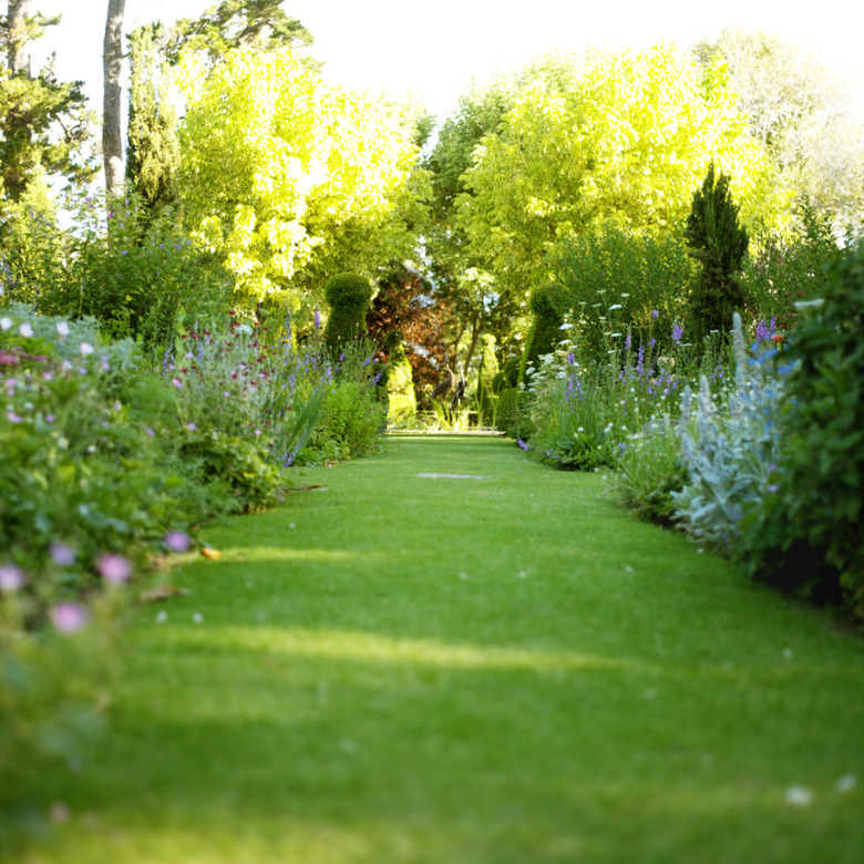 grassy walkway in a garden