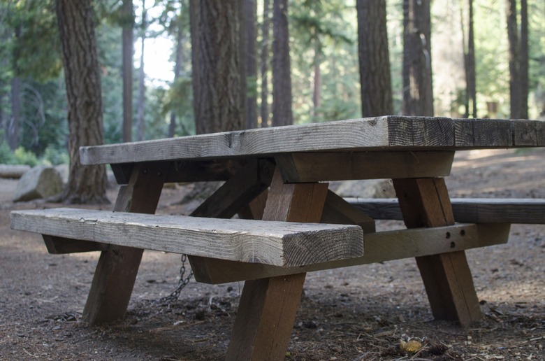 Picnic table in woded park setting