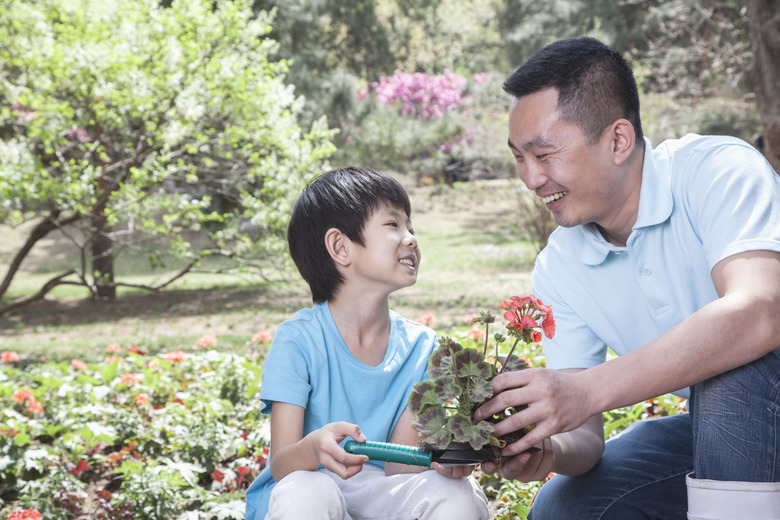 Father and son planting flowers.