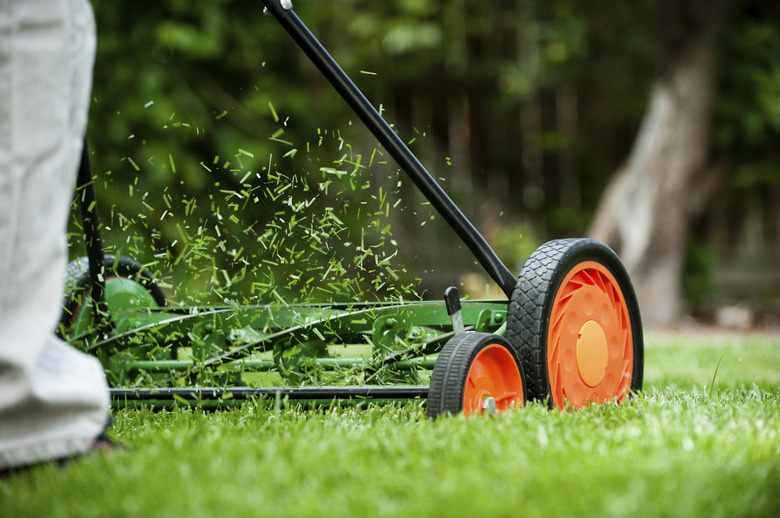 Cutting The Grass