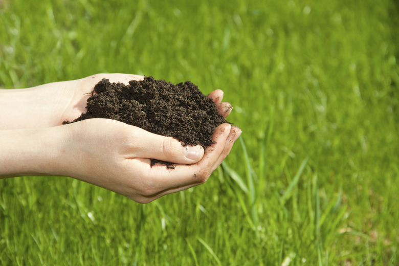 hands with soil