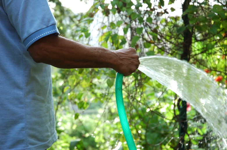 Person watering the plants