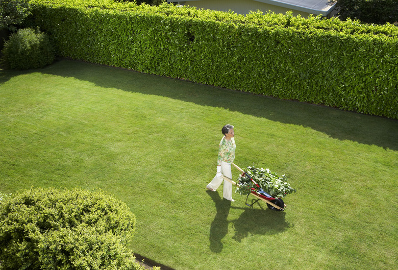 Mature woman doing yard work