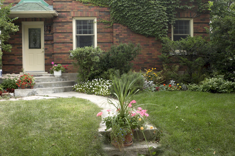 Suburban yard with walkway