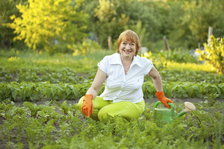 mature woman working in  vegetable garden