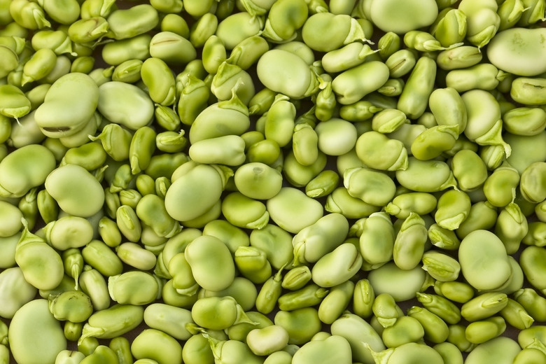 A large pile of green lima beans.