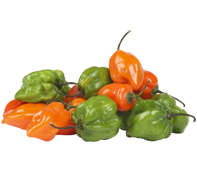 Habanero Peppers