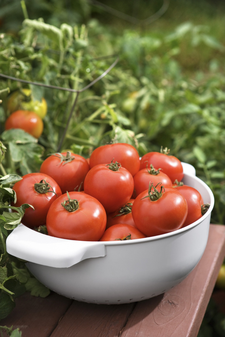 Bowl of tomatoes