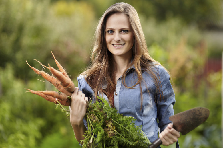 Young woman gardener holding a sheaf of carrots