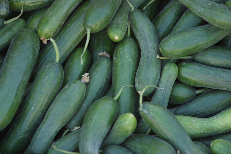 Cucumbers