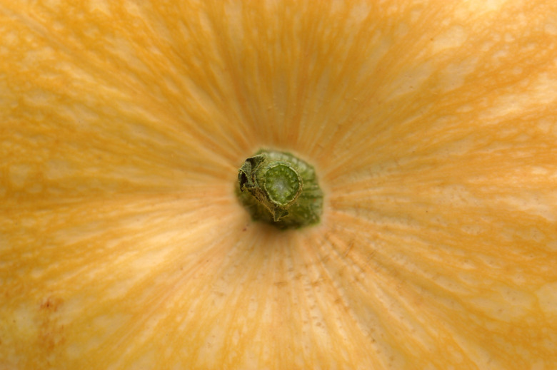 Close-up of pumpkin