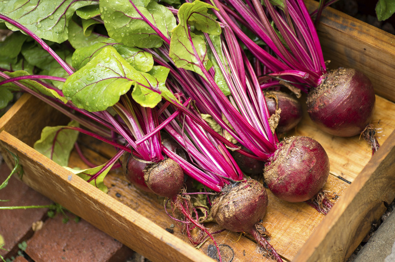 Red Beets