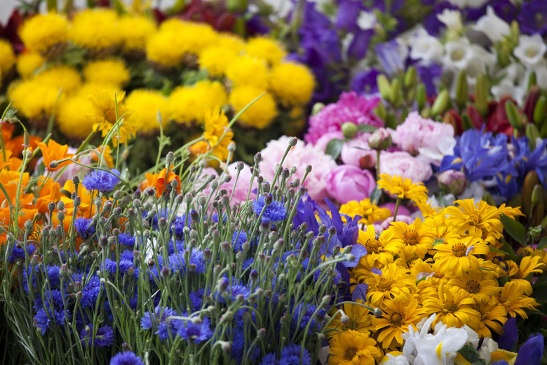 Flower Bouquets of Fresh Summer Flowers, Pike Place Market