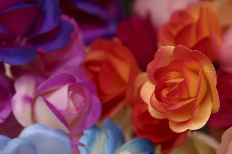 Colorful roses for sale in marketplace