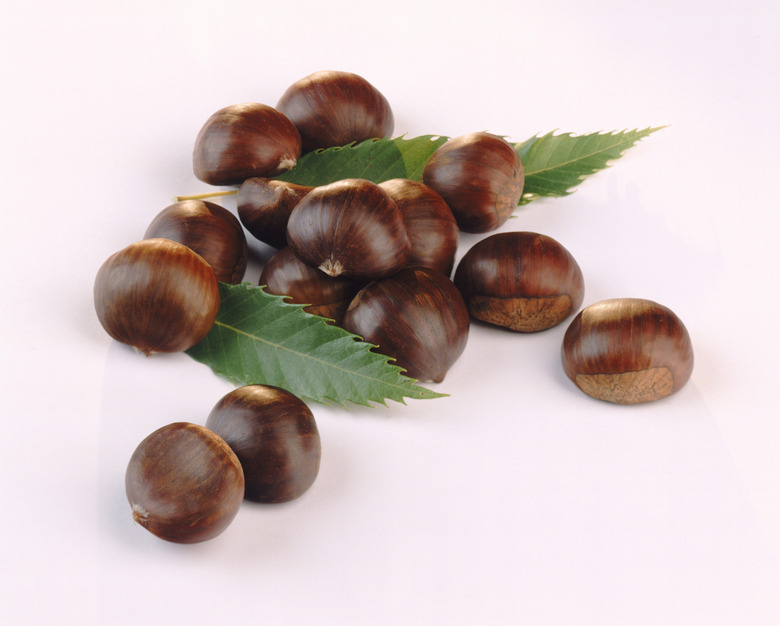 Chestnut with leaves on white background, close-up