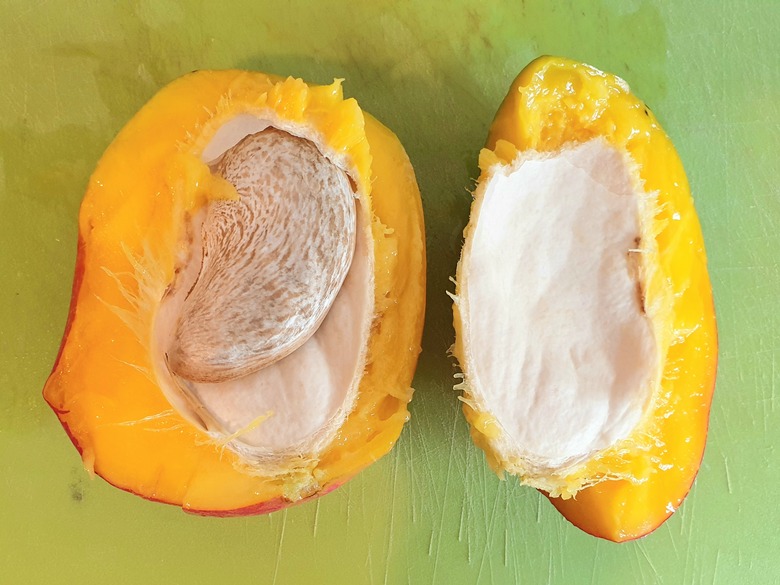 A mango (Mangifera indica) split open to reveal the pit and seed inside.