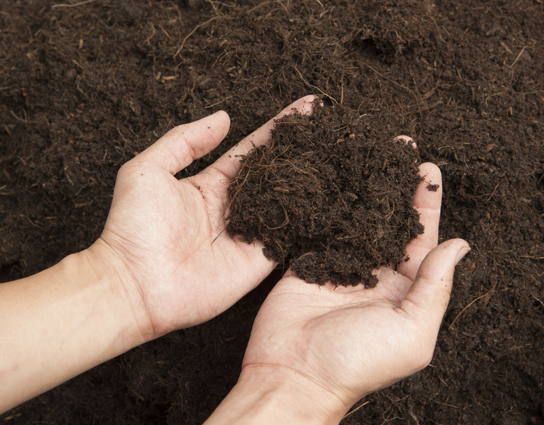 Soil- handful,female hands, humus soil