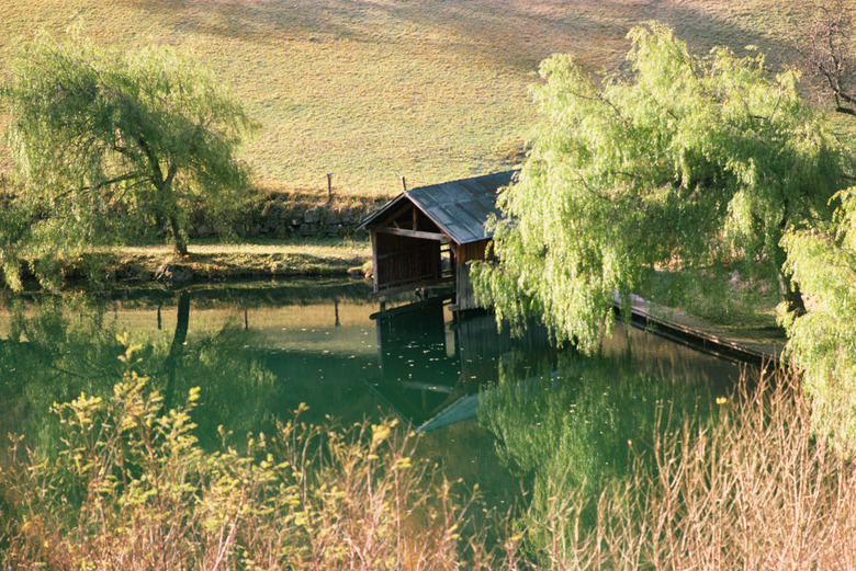 Boathouse by rural pond