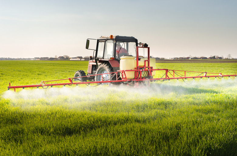 Tractor spraying wheat field