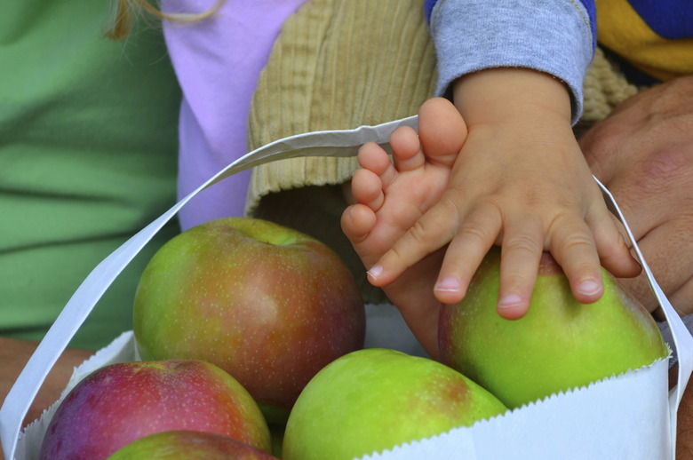 Baby's Fingers and Toes in Bag of Apples