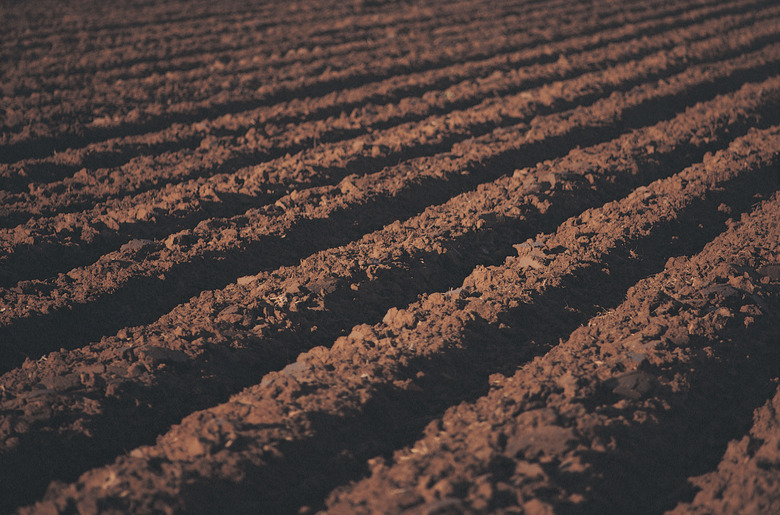 Tilled field