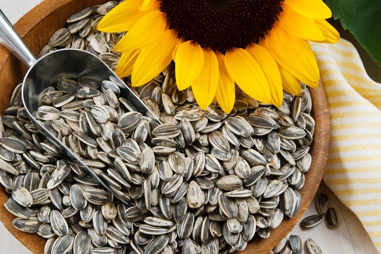 A bowl of sunflower seeds next to the flower itself.