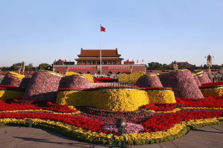 Colorful ground-cover plants in Guangzhou, China