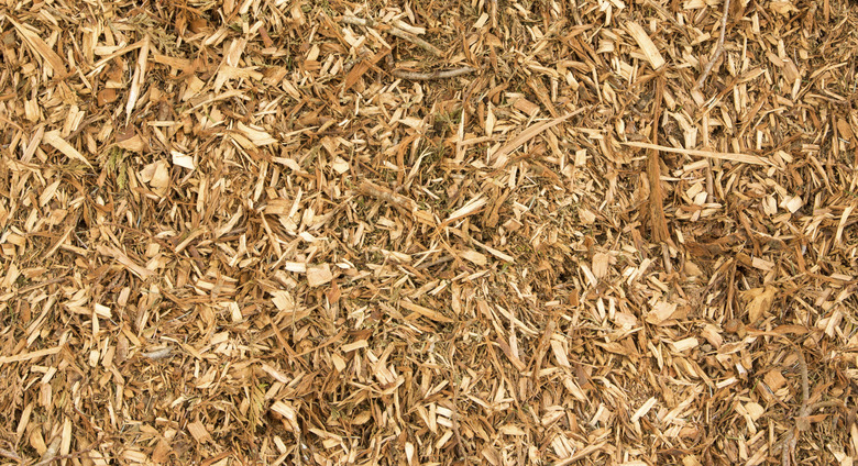 Wood CHips Texture