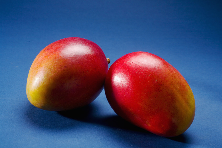 Studio shot of two mangoes.