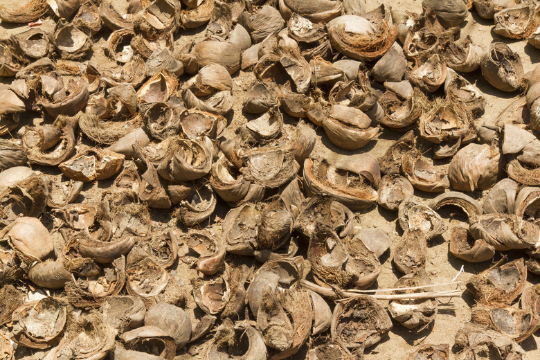 Pile of discarded coconut husks