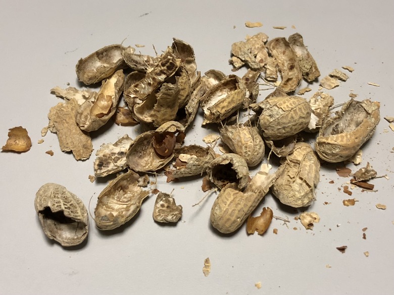 A handful of peanut shells lying on a table.