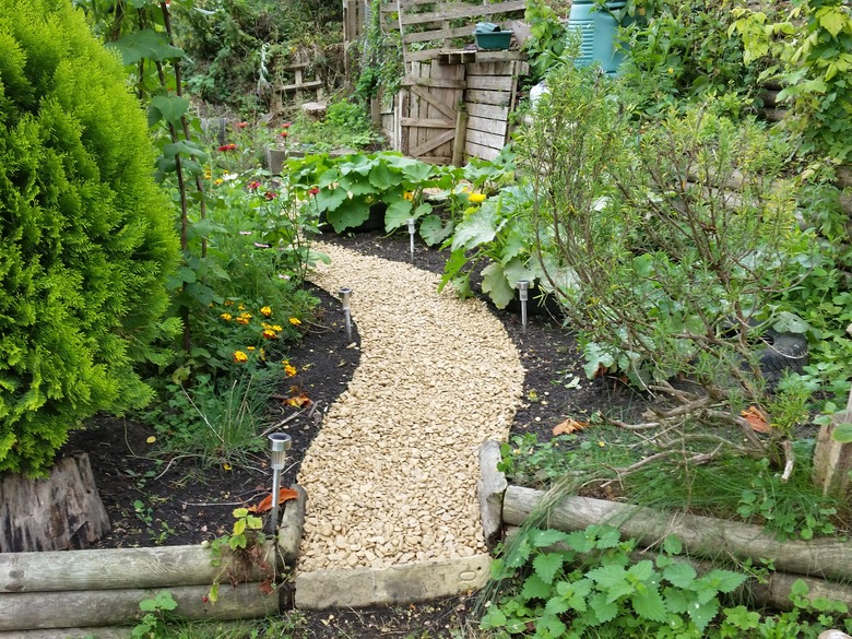 A little garden with a few different kinds of edging.